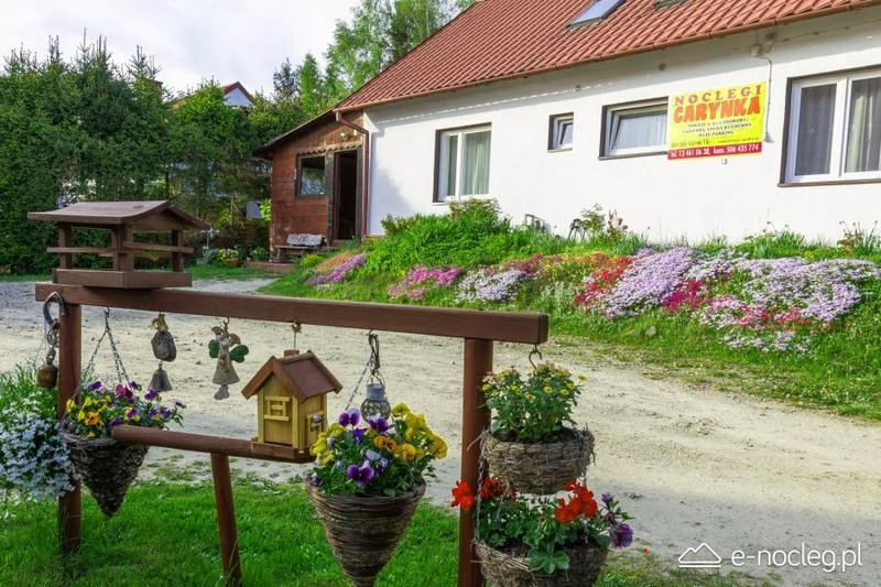 Co warto zobaczyć w Ustrzykach Górnych? Najciekawsze miejsca i szlaki