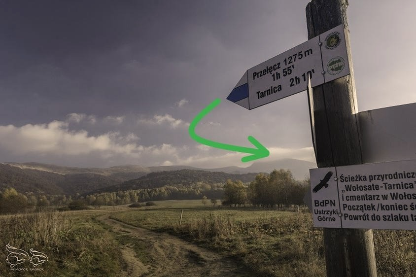 Tarnica — trudność szlaku, czas wejścia i wskazówki dla początkujących