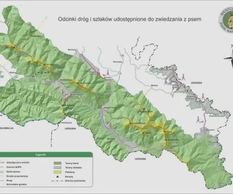 Bieszczady z psem