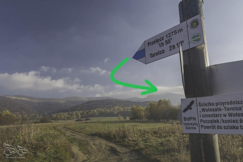 Czas wejścia na Tarnicę