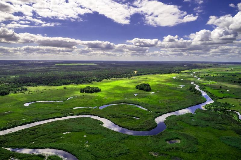 Spływy kajakowe po Biebrzy